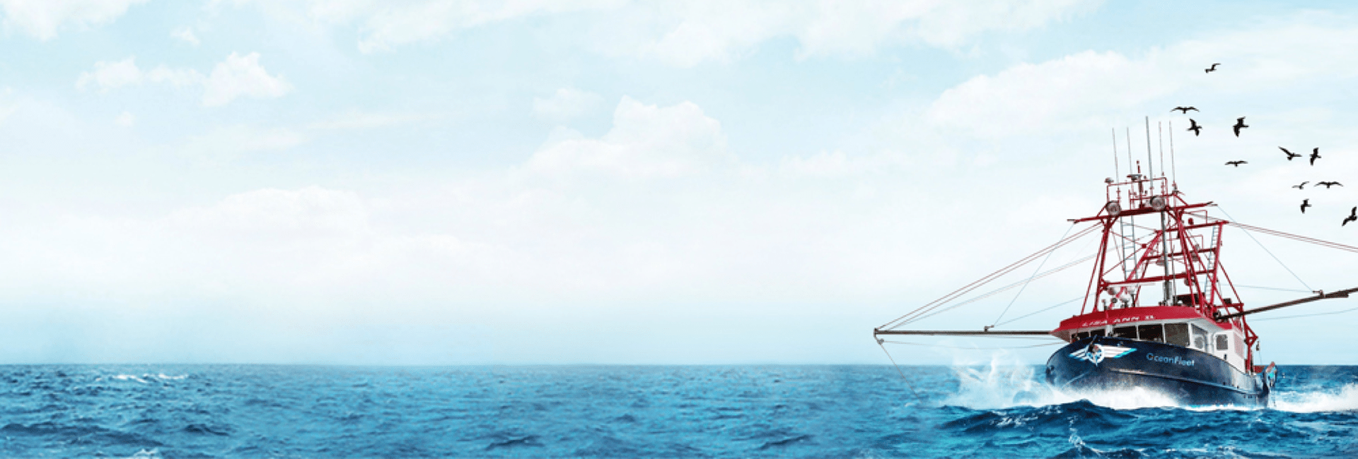 Oceanfleet - qpsoftware- ecommerce